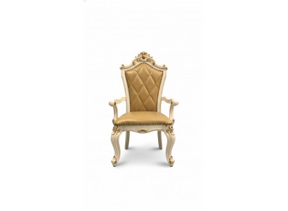 Salon Chaise Design Salle à manger Bois Chaises Rembourrage avec Accoudoir