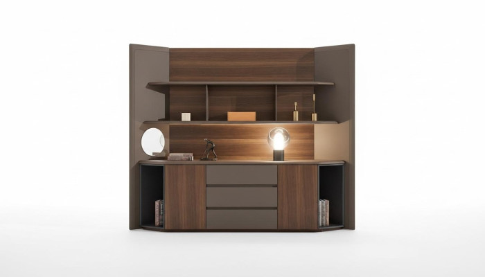 Armoire à dossiers Étagère Armoire Mobilier de bureau Salle d'étude Armoire de bureau