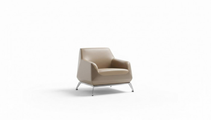 Fauteuil Lounge Luxe TV Club Rembourrage Siège Design Fauteuil Canapé Sofa