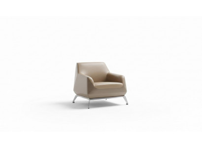 Fauteuil Lounge Luxe TV Club Rembourrage Siège Design Fauteuil Canapé Sofa