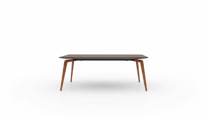 Bureau Table de conférence Tables Bois Salle à manger Table de réunion 220x102