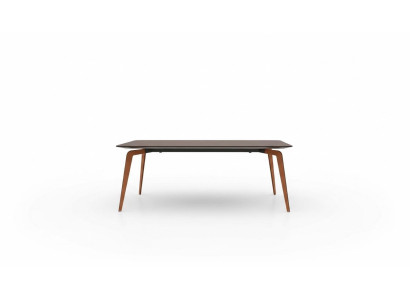 Bureau Table de conférence Tables Bois Salle à manger Table de réunion 220x102