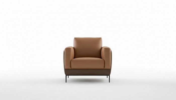 Fauteuil en cuir TV canapé 1 place canapé relax de luxe tapisserie de coussin