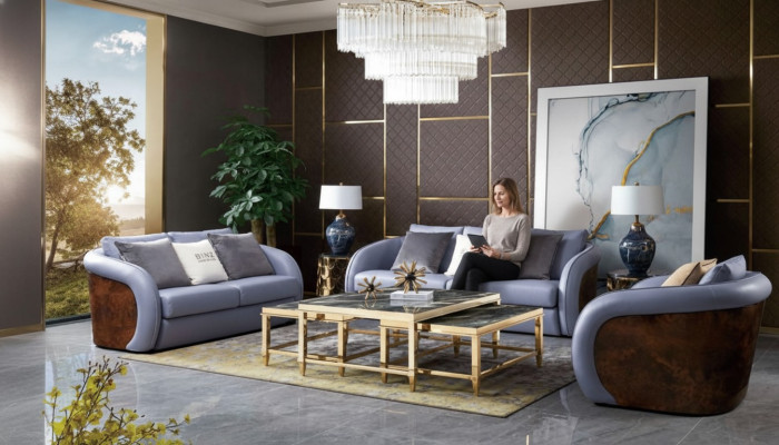 Mobilier de salon de luxe Ensemble de canapé Canapé en cuir Canapé Rembourrage Ensemble de design