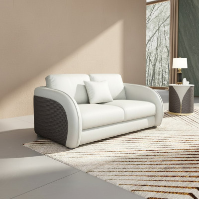 Canapé en cuir Canapé Canapé de vie 2 places Design Moderne Canapé Deux places En cuir véritable