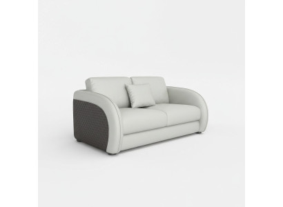 Canapé en cuir Canapé Canapé de vie 2 places Design Moderne Canapé Deux places En cuir véritable
