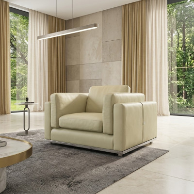 Fauteuil Fauteuil de Club Fauteuil Lounge Fauteuil Cocktail Fauteuil Relax Rembourrage Canapés Club en Cuir neufs