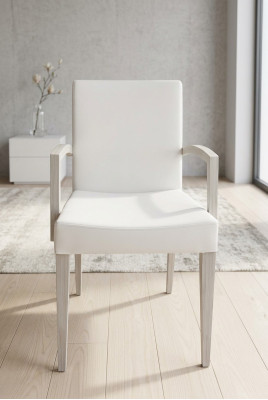 Ensemble de chaises de salle à manger modernes avec fauteuil, 4x neuf