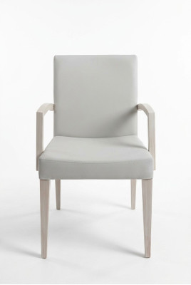 Ensemble de chaises de salle à manger modernes avec fauteuil, 4x neuf