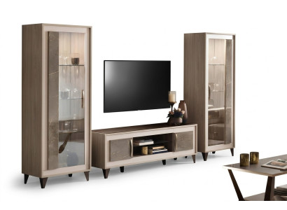 Unité murale de design Buffet 2x Armoire Meuble TV Buffet bas Buffet 3 pièces Ensemble de vitrine