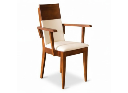 Chaises Chaise Fauteuil Rembourrage Bois Massif Textile Bois Fauteuil Cuir neuf Lounge