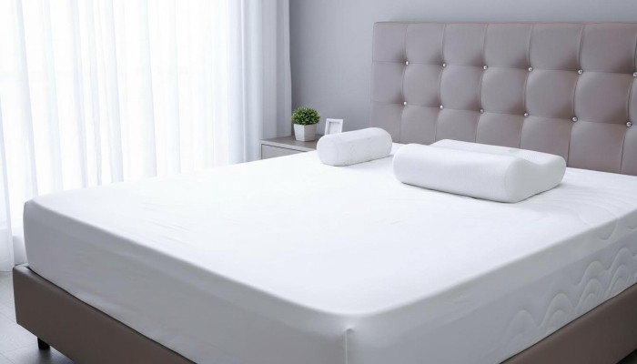 COUSSINS DE DÉCORATION COUSSINS DE LIT COUSSINS DESIGNER COUSSINS DE TISSU COUSSINS DE CANAPÉ COUSSINS D'OREILLER NOUVEAU!