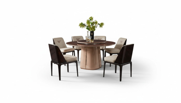Table à manger mobilier fauteuil chaise ensemble de 5 pièces. Groupe design salle à manger