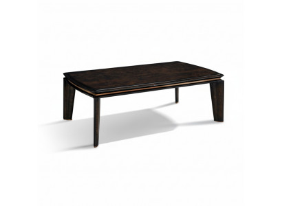Table basse Marron foncé Bois Luxe Salon nouveau Design Moderne