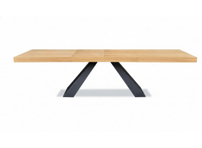 Table Table à manger Table en bois xxl Table de conférence 100x200cm Extensible 280cm Solide