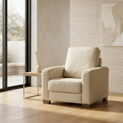 Fauteuil une place canapé télévision canapé une place mobilier de salon canapés neufs
