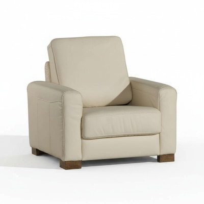 Fauteuil une place canapé télévision canapé une place mobilier de salon canapés neufs