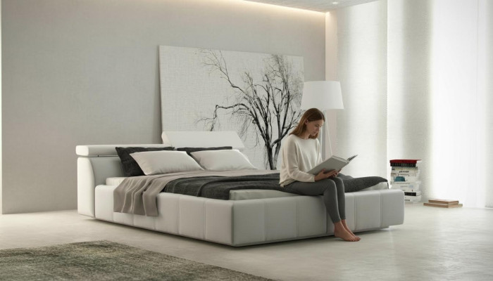 Designer de lits Rembourrage Hôtel Lits doubles Lits multifonctions 180 x 200 neufs