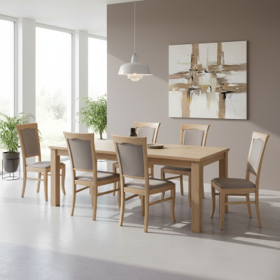 Groupe Fauteuil Italien Ensemble de meubles de luxe Chaise de salle à manger Set 6X Chaises neuves