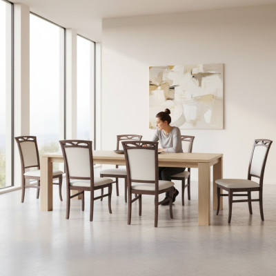Chaises Rembourrage Hôtel Textile Chaise Ensemble Groupe Chaises Suite 6x Groupes Fauteuil