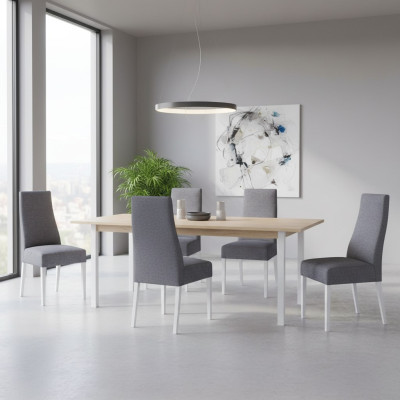 Salle à manger Cuisine Groupe Ensemble Chaise Suite Siège Rembourrage Bois 4 chaises Meubles neufs