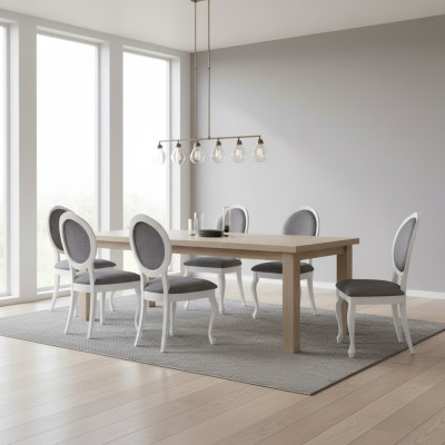 Ensemble de chaises pour salle à manger Suite Lehn Chaises Groupe complet Salon 6 pièces neuf