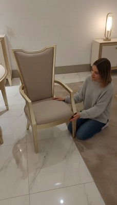Chaise de luxe Fauteuil en bois Meubles Ameublement Chaise d'hôtel neuf Chaises de salle à manger