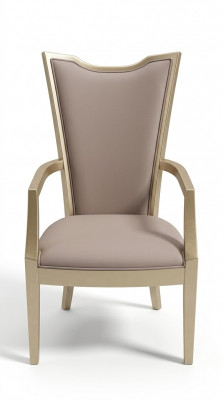 Chaise de luxe Fauteuil en bois Meubles Ameublement Chaise d'hôtel neuf Chaises de salle à manger