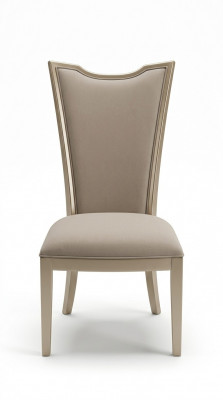 Meubles de luxe Fauteuil Chaise Meubles en bois Fauteuil d'hôtel Chaises neuf Salle à manger