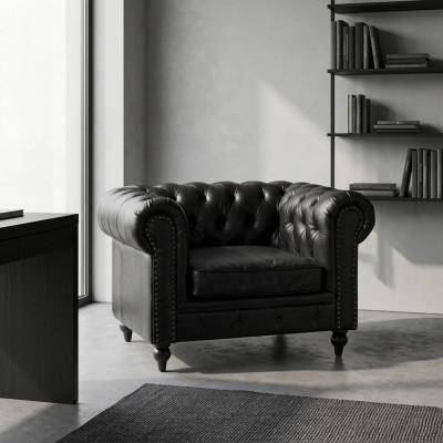 Salon Restaurant Gastro Fauteuil 1 place Fauteuil de salon Fauteuil de salon Chaise Rembourrée Chaise