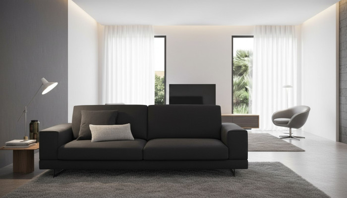 Sofas de salon de luxe Canape 3 places Canape moderne Meubles italiens alfitalia