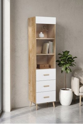 Étagère Vitrine Vitrine Armoire vitrée Étagère Bois Armoire Bibliothèque
