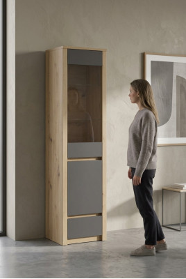 Vitrines Étagères Armoires en bois Salon Vitrine Armoires Commode Étagère en verre neuf !
