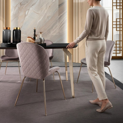 Salle à manger Chaises Bois Luxe Fauteuil Chaise Beige Fauteuil Mobilier de salon neuf