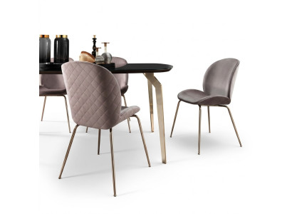 Salle à manger Chaises Bois Luxe Fauteuil Chaise Beige Fauteuil Mobilier de salon neuf