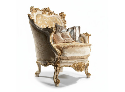 Canapé classique fauteuil fauteuil canapé chaise TV club chaise meubles italiens neufs