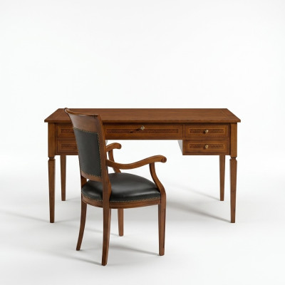 Chaises Rembourrage Chaise Ensemble Bois Cuir Fauteuil Suite Siège Tables 1x nouveau