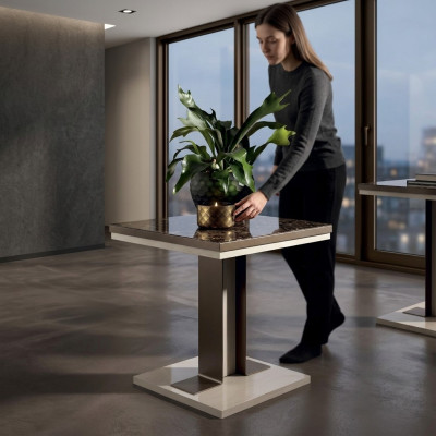 Table d'appoint Table basse Table basse design Table Table de salon Tables neuves
