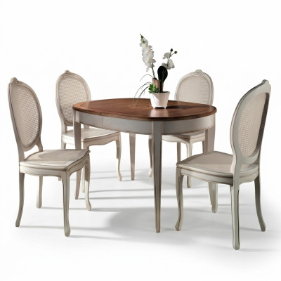 Table à manger Mobilier Chaises Fauteuil Groupe de meubles Ensemble complet de 5 pièces.