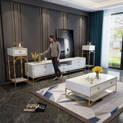Conception moderne de mur vivant, buffet de salon avec étagère de télévision.