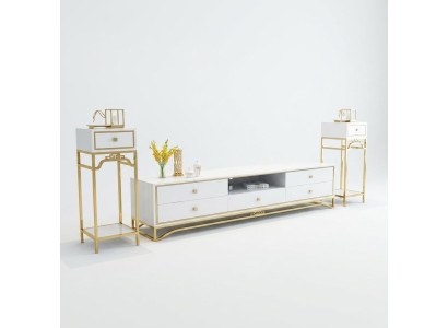 Conception moderne de mur vivant, buffet de salon avec étagère de télévision.