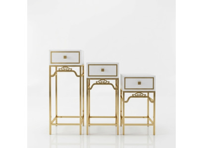 Stand Consoles Table Column Design Shelf - Bois avec acier inoxydable à haute brillance