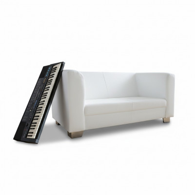 Canapé Canapé Design Rembourrage Modernes Canapés en Cuir 2 Places Deux Places Designer Nouveau