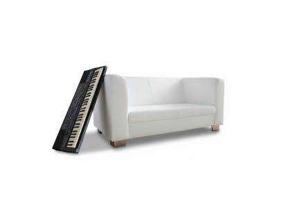 Canapé Canapé Design Rembourrage Modernes Canapés en Cuir 2 Places Deux Places Designer Nouveau