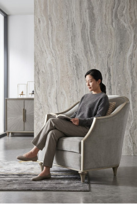 Chaises longues Canapé Mobilier d'hôtel Fauteuil Siège simple Chaise royale Trône