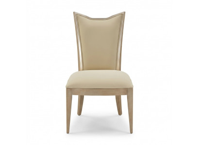 Chaise Fauteuil Rembourrage chaise moderne Chaise de designer Chaise de salle à manger