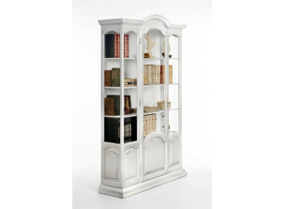 Bücherschrank Regal Schränke Sideboard Büromöbel Möblierung Vitrine Holz neu