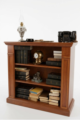 Étagère Vitrine Armoire Classique Bibliothèque Bois Neuf