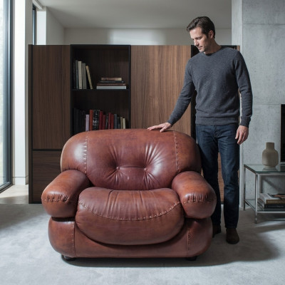 Fauteuil en cuir vintage Salon Revêtement en cuir véritable Meuble italien neuf