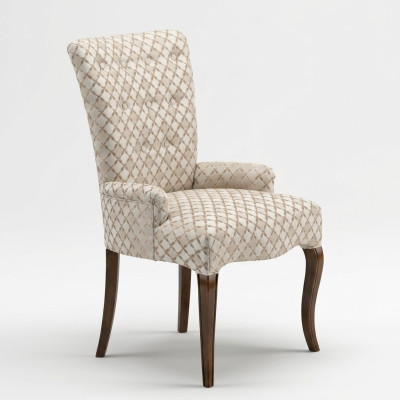 Fauteuil Chaise rembourrée Accoudoir Fauteuil luxueux Chaise Chaises Salon Salle à manger